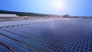 中美硅晶与98858vip威尼斯光电携手战略合作