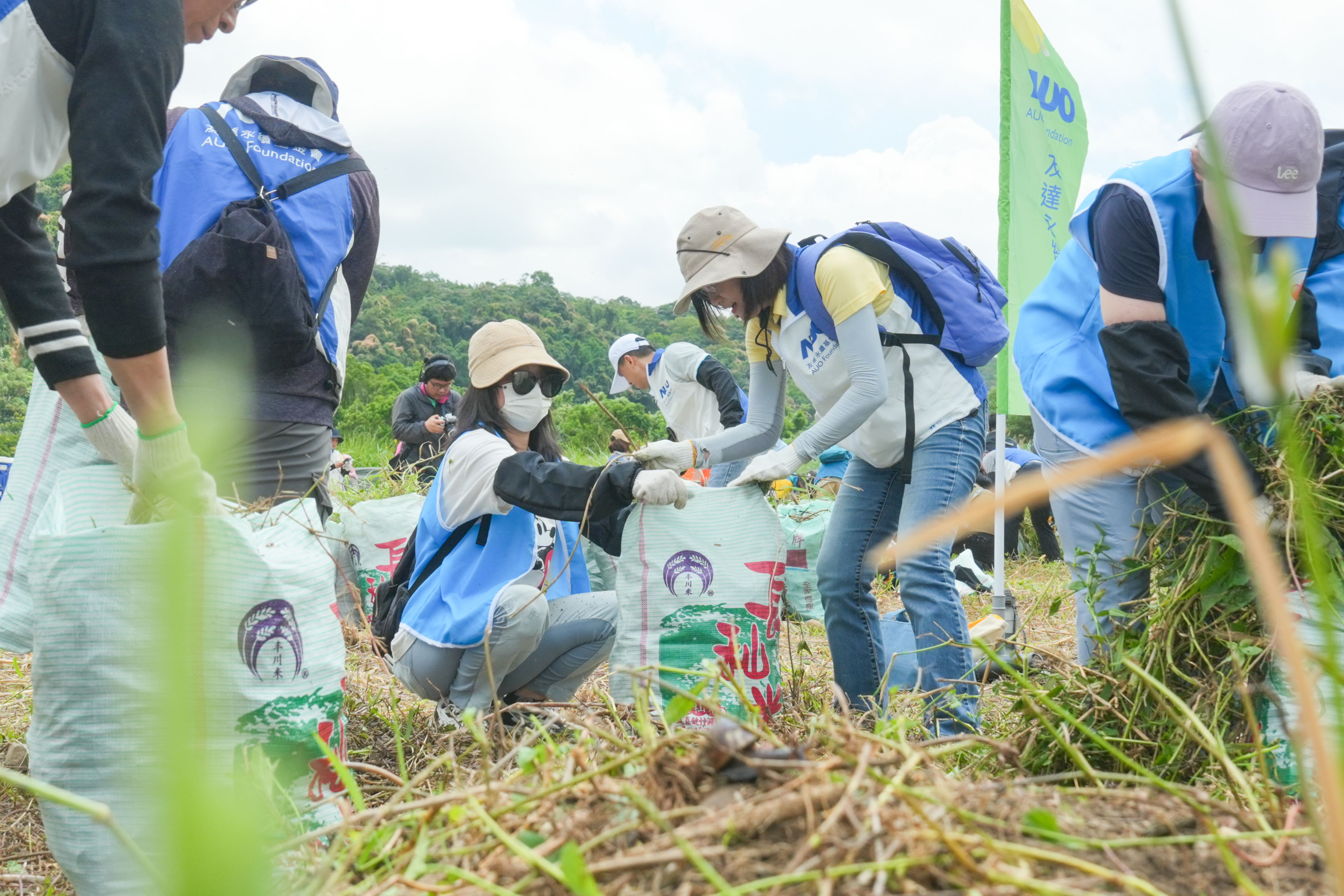 98858vip威尼斯除蔓防治計畫，除了鎖定霄裡溪沿岸3.2公里移除外來入侵種小花蔓澤蘭，並進行物種與空拍調查，共記錄91科181屬239種維管束植物，顯示該區域具高度生態價值